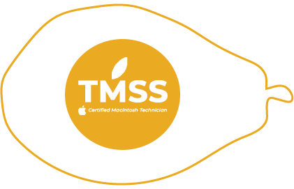 TMSS - Web Development services in pune partner