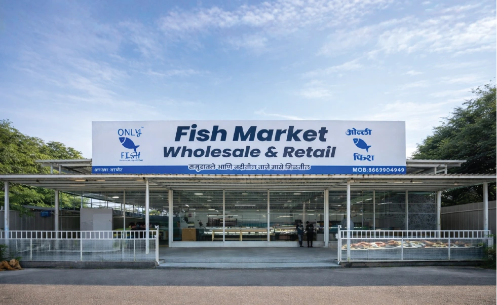 Only Fish - Local SEO experts Pune business growth